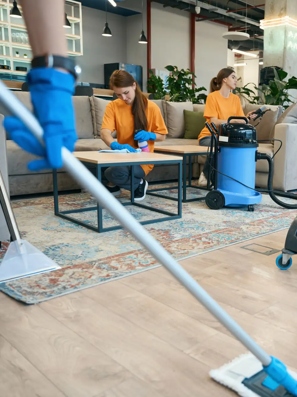 Professional Commercial Cleaning Services